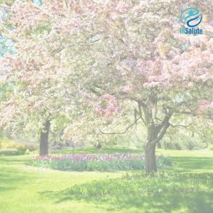 Check up medico di primavera